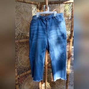 Susan Graver Stylish Wide Legged Blue Denim Jeans_20W